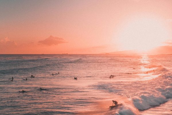 Surf 1