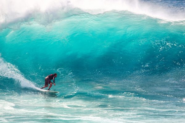 Surf 2